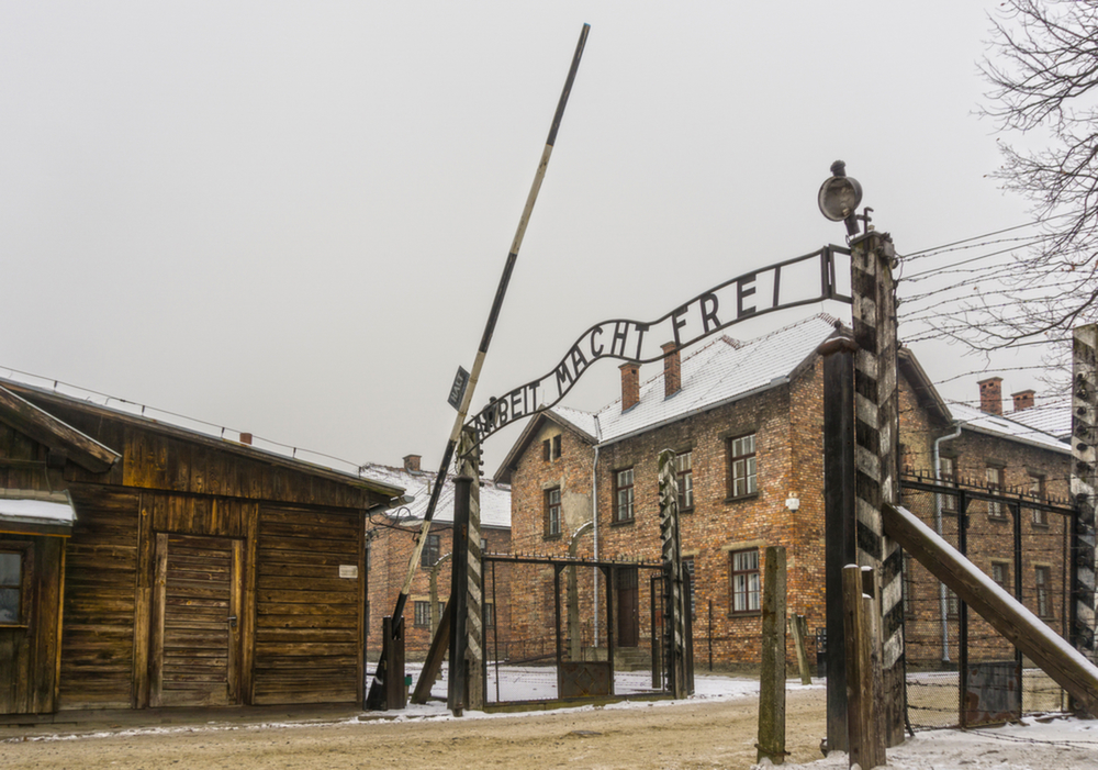 Auschwitz Kampı