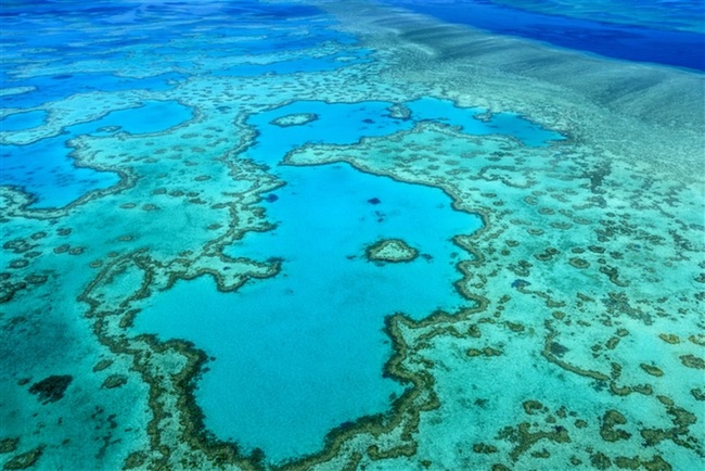 Büyük Set Resifi Avustralya