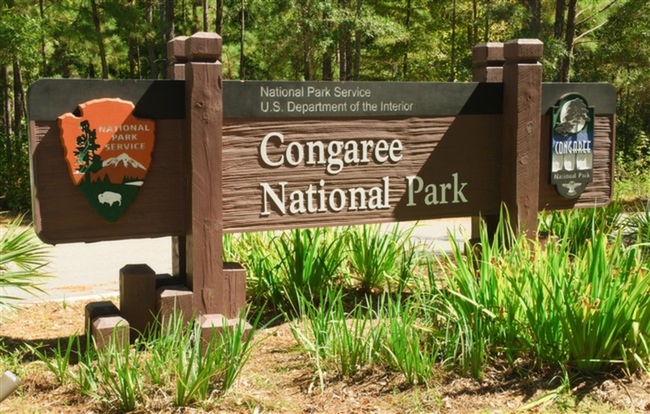 congaree-national-park